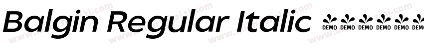 Balgin Regular Italic 语言英文字体转换